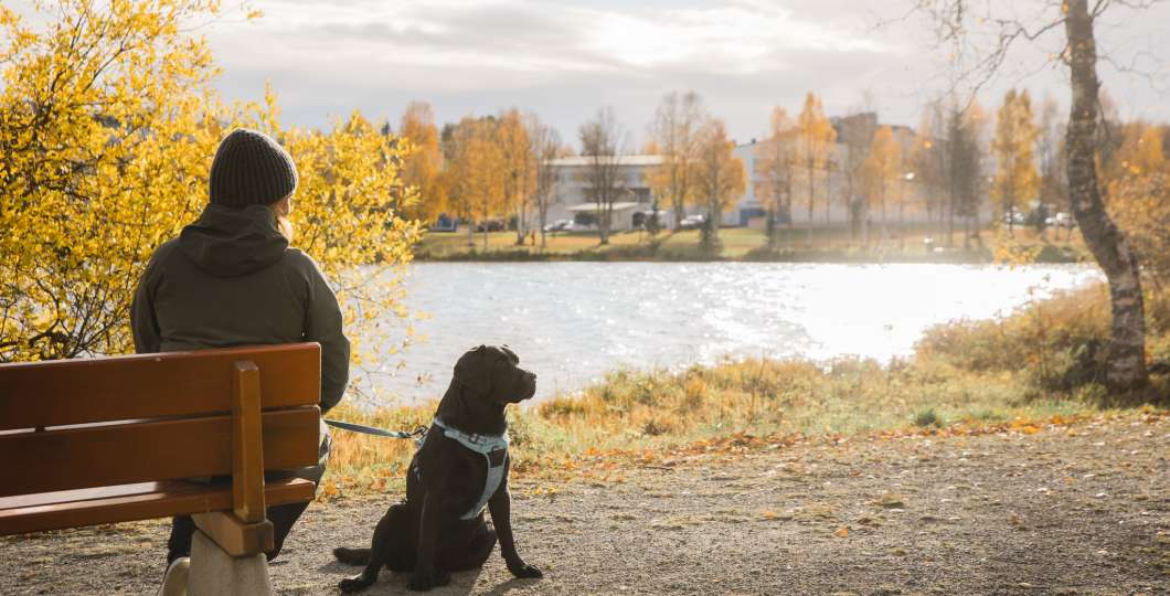 Nainen ja koira Kirkkosaaressa, Kuusamo. Kuva Maija Koskinen