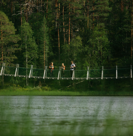 Riippusilta Karhunkierroksen varrella, Oulangan kansallispuisto, Kuusamo. Kuva Jani Kärppä