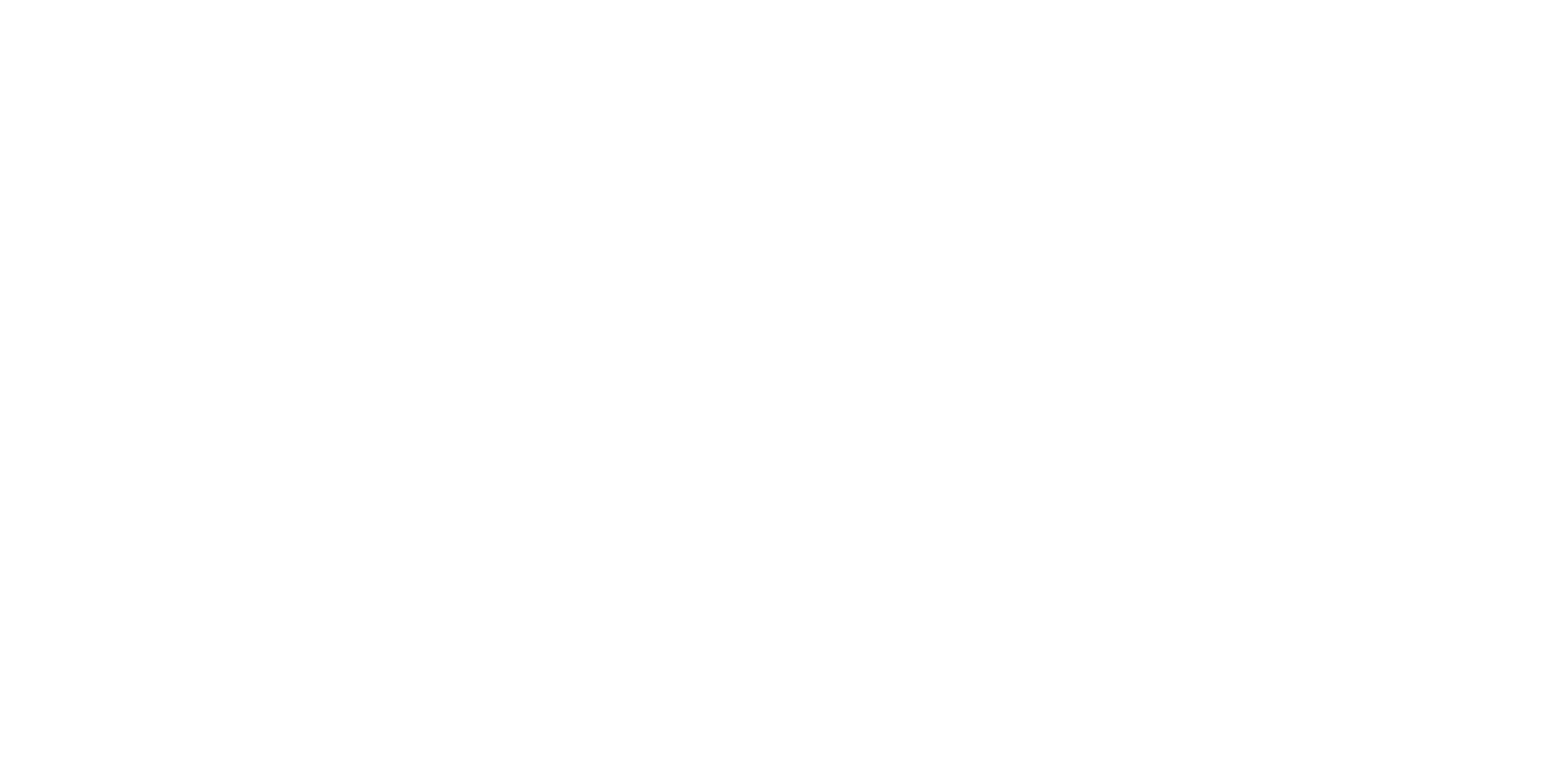 polar night light festival logo