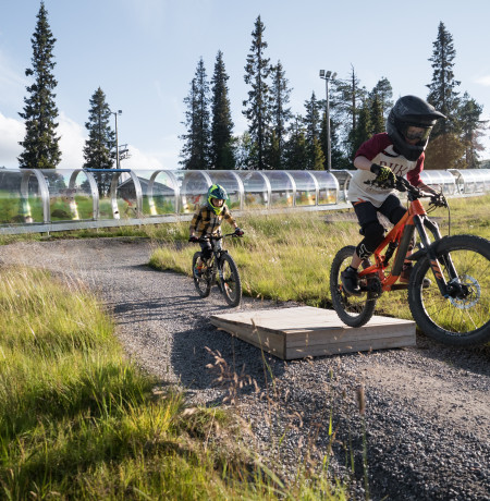 Learn the tricks of the trade in guided DH biking Ruka.fi