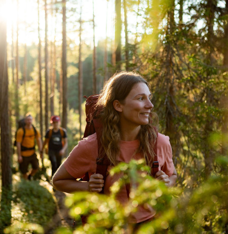 Hikers in the woods, photo Jani Kärppä