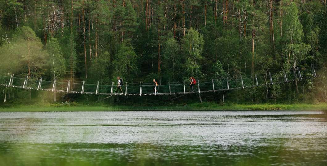 Riippusilta Oulangan kansallispuistossa, kuva Jani Kärppä